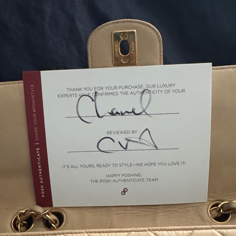 Chanel Beige Quilted CC Flap Bag - Picture 13 of 14